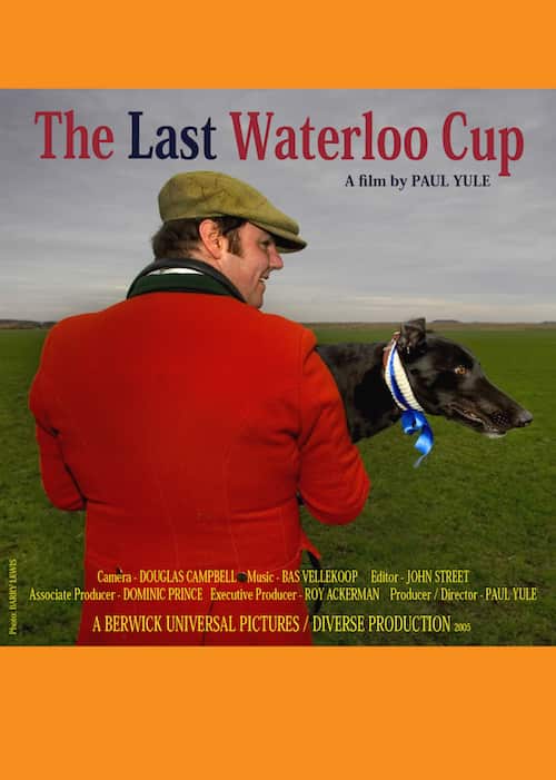 Greyhound coursing at Alcar. Shasi, the winner of the last_waterloo_cup