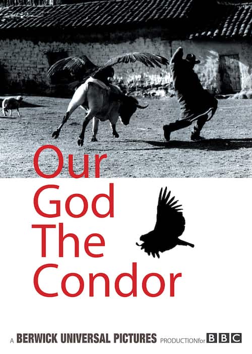 our_god_condor
